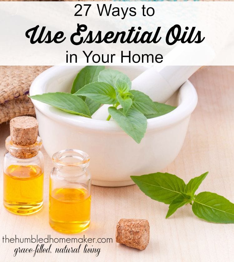 5 Ways Essential Oils Can Support Your Health Wellness Becomes Her 5 Ways Essential Oils Can Support Your Health Wellness Becomes Her