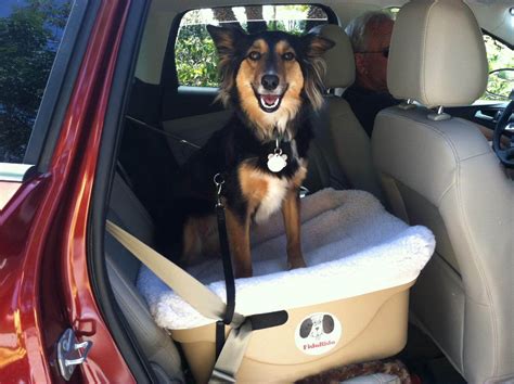 6 Best Dog Car Seats In 2018 Buying Guide For Dog Booster Seats 6 Best Dog Car Seats In 2018 Buying Guide For Dog Booster Seats