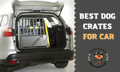 8 Best Dog Crates For Car Safe Crash Tested 2022 8 Best Dog Crates For Car Safe Crash Tested 2022