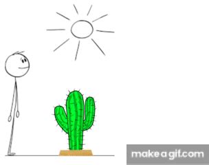 Adaptación Celular Homeostasis Gif