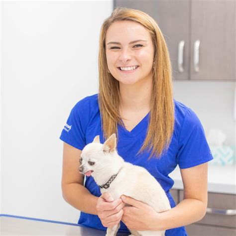 Advanced Animal Care Berea Berea Ky Veterinarians Advanced Animal Care Berea Berea Ky Veterinarians
