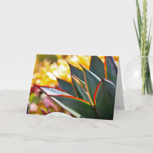 Agave Blue Glow Note Card By Debra Lee Baldwin Zazzle Agave Blue Glow Note Card By Debra Lee Baldwin Zazzle