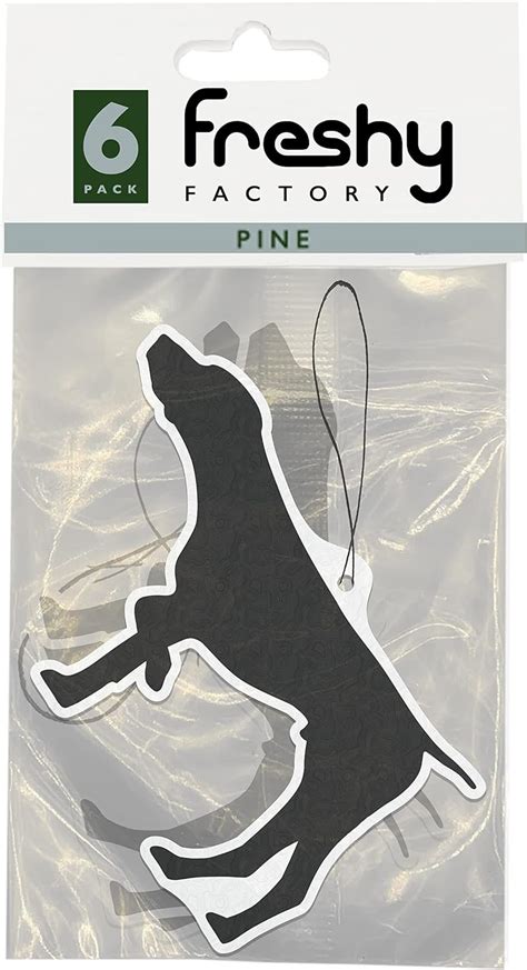 Amazon Com Bird Dog Car Air Freshener Pine Scent Freshy Factory 6 Amazon Com Bird Dog Car Air Freshener Pine Scent Freshy Factory 6