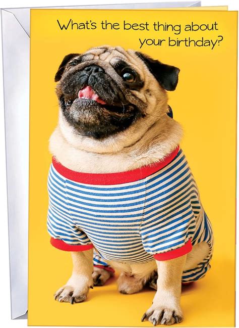 Amazon Com Chuck S Card O Rama Dog Birthday Card Made In America