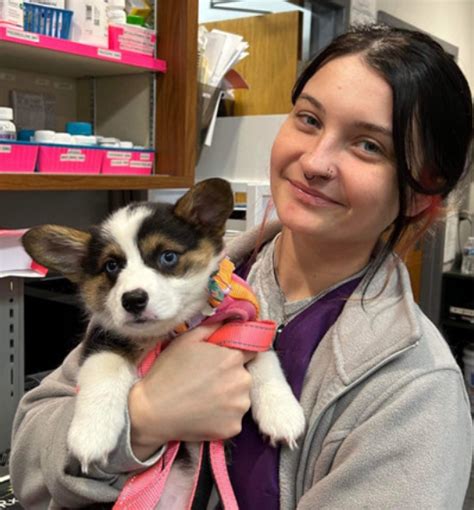Animal Care Associates WV Services