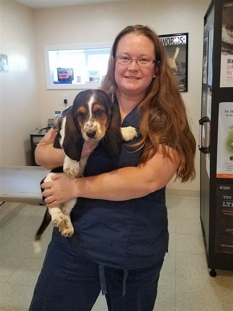Animal Care Clinic Veterinarian In Wytheville Va Us Animal Care Clinic Veterinarian In Wytheville Va Us