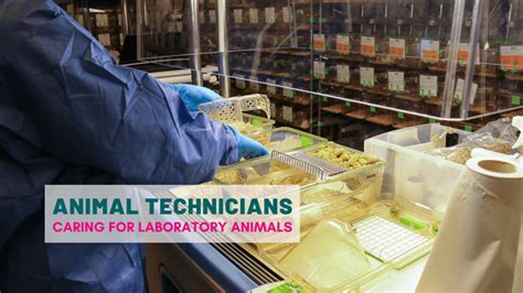 Animal Care Technician Guide