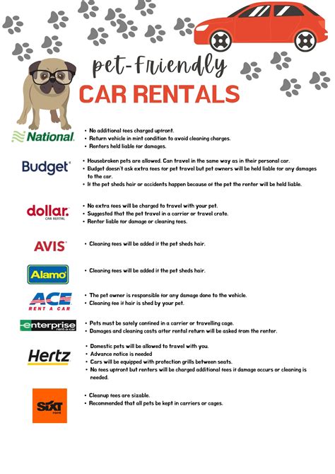 Are Dogs Allowed In Rental Cars Enterprise Are Dogs Allowed In Rental Cars Enterprise