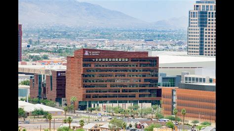 Arizona Ifc