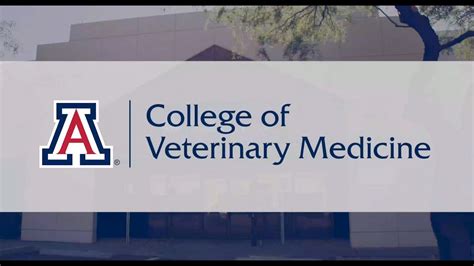Arizona Veterinary Schools