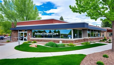 5 Arvada Pet Care Tips 5 Arvada Pet Care Tips