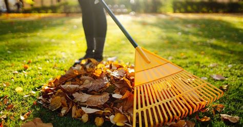 Autumn Safety Tips For Outdoor Chores Wellspan Health Autumn Safety Tips For Outdoor Chores Wellspan Health