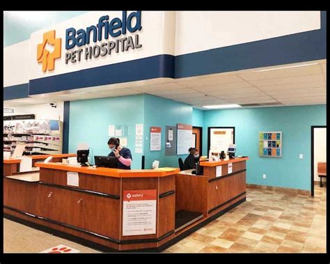 5 Ways Banfield Uses Care Credit 5 Ways Banfield Uses Care Credit