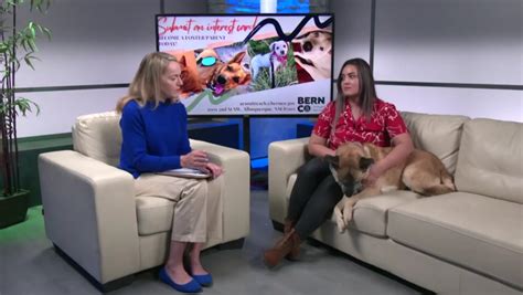 Bernco Beat Animal Care Services Bernalillo County Free Download Bernco Beat Animal Care Services Bernalillo County Free Download