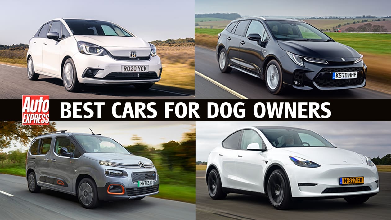 Best 4X4 Cars For Dogs Mckinsey Company Best 4X4 Cars For Dogs Mckinsey Company