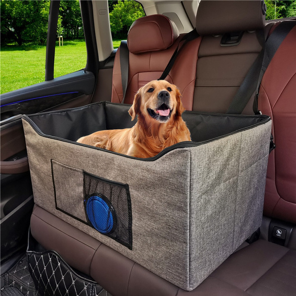 Top Cars For Large Dogs