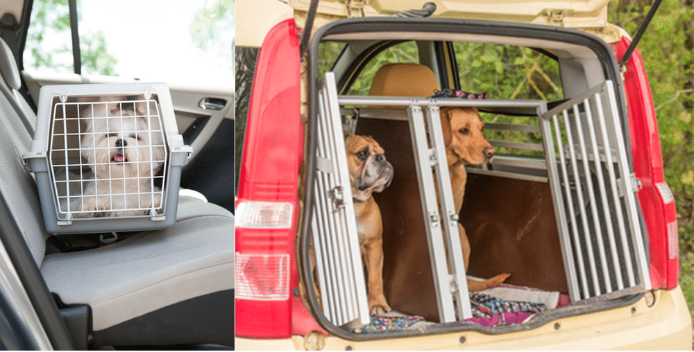 Top Cars For Dog Crates