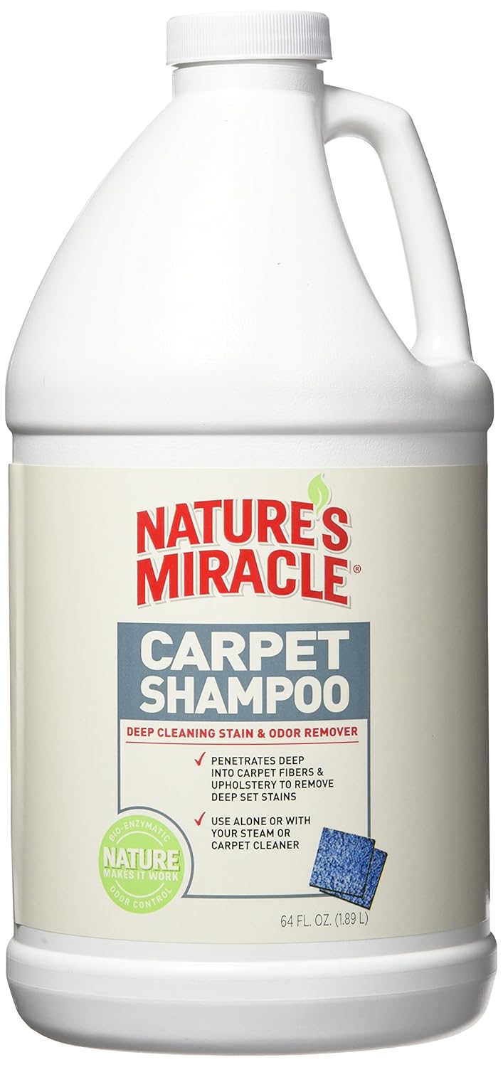 Best Way To Remove Dog Urine Odor From Carpet Best Way To Remove Dog Urine Odor From Carpet