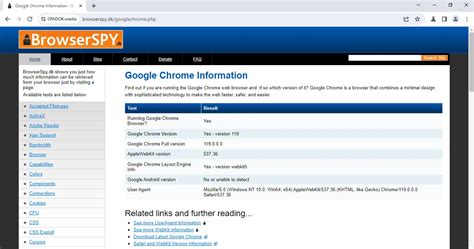 Browserspy Sdk Browserspy Sdk