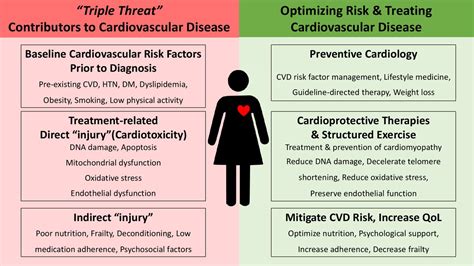 Can Large Breasts Cause Heart Problems Can Large Breasts Cause Heart Problems