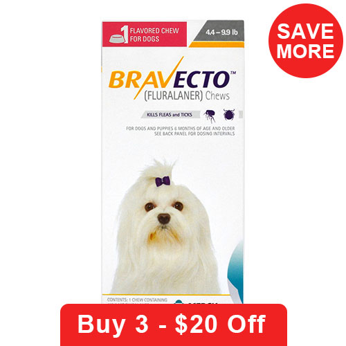 Canada Pet Care with Bravecto