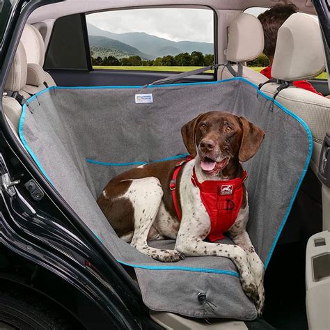 5 Ways Dog Hammocks