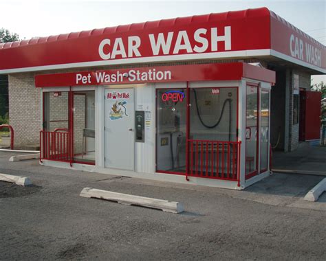 Car Wash Dog Fun