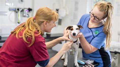 Care Veterinary 2025 Care Veterinary 2025