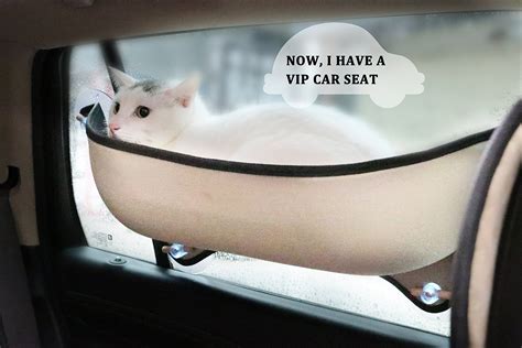 Car Cat Hammock Perch