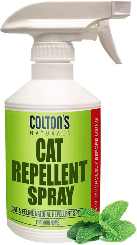 5 Cat Repellent Tips