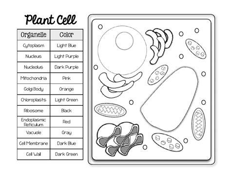 Cell Plant Coloring