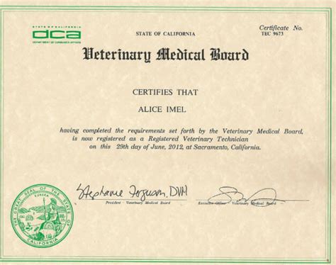 Certifications For Vet Techs