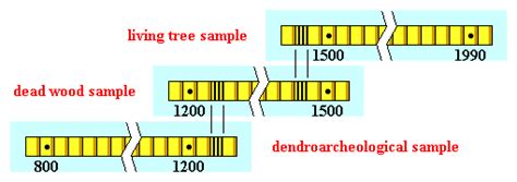 Crossdating Example Application Crossdating Example Application