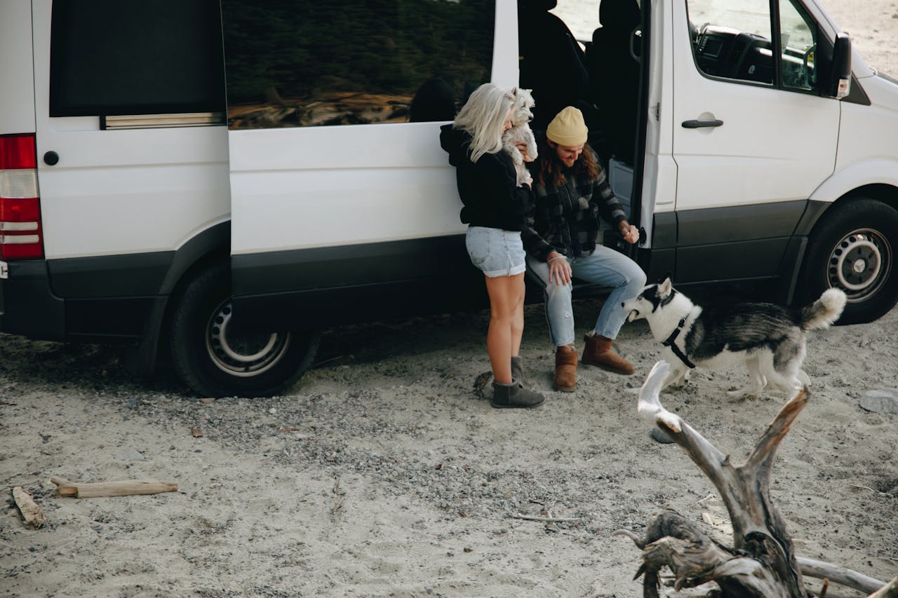 Car Rentals that Allow Dogs