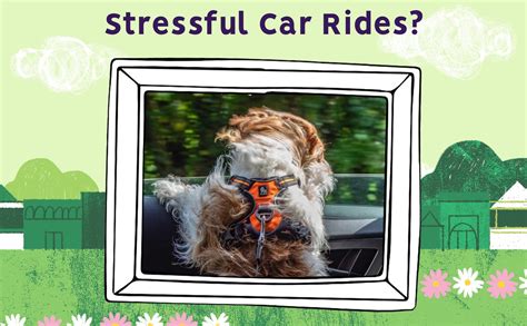 Dog Anxiety In Car Rides Cbd For Dogs Austin And Kat Dog Anxiety In Car Rides Cbd For Dogs Austin And Kat