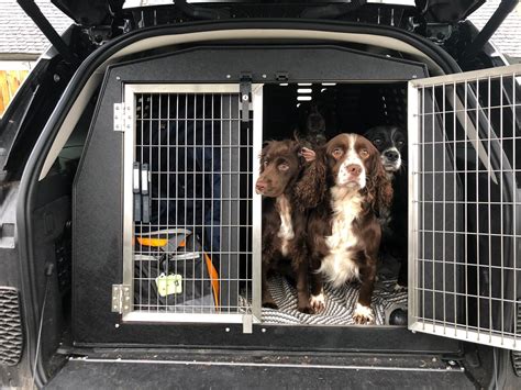 5 Dog Car Box Tips 5 Dog Car Box Tips