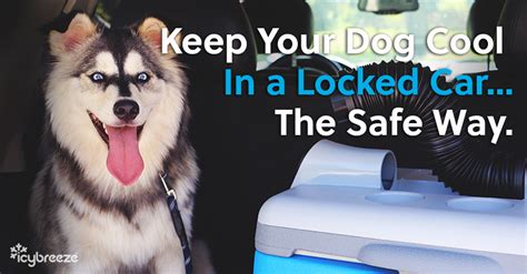 Dog Car Air Conditioner Solution