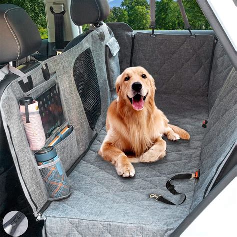 5 Tips Dog Car Back Seat