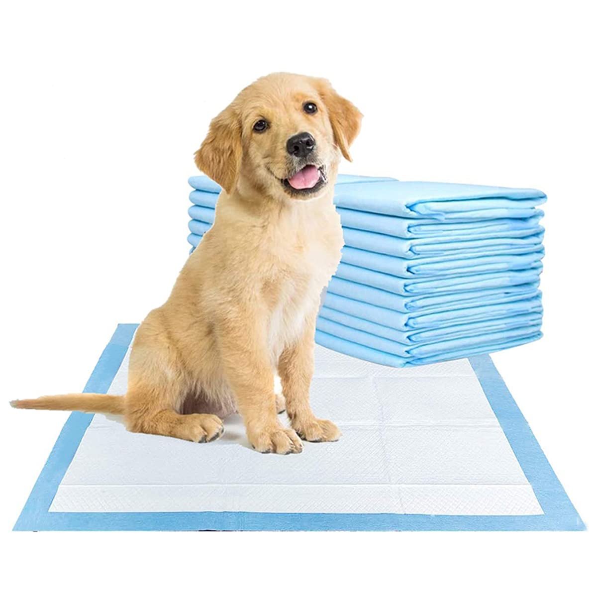 Best Dog Car Pads