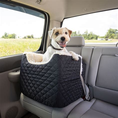 Best Dog Car Products