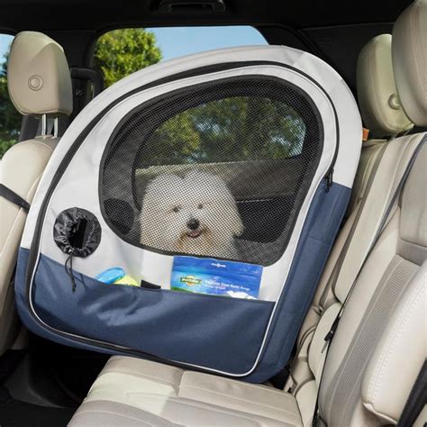 5 Dog Car Safety Tips 5 Dog Car Safety Tips