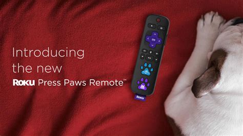 Dog Care From A Distance
