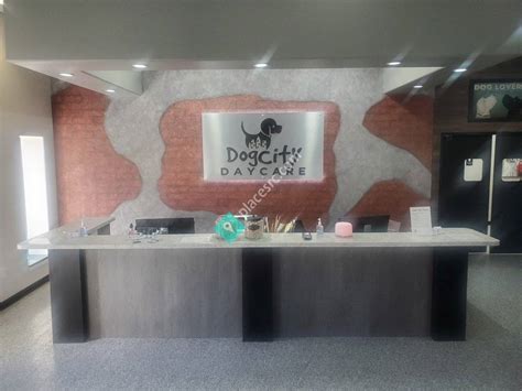 Dog City Daycare Commerce