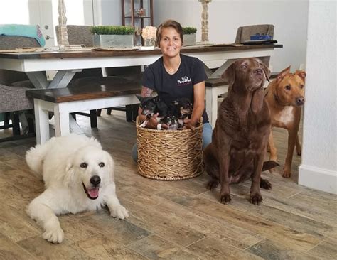 Naples FL Dog Day Care Services