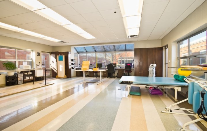 Oak Lawn Dog Day Care Services Oak Lawn Dog Day Care Services