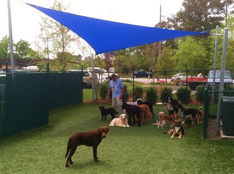 Wilmington NC Dog Day Care Options