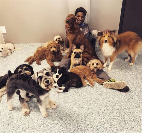 Dog Daycare Companion River North Dog Daycare Companion River North