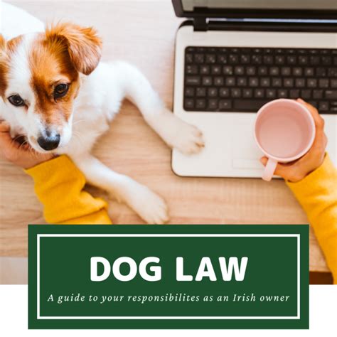 Dog Law For Cars Dog Law Hub Dog Law For Cars Dog Law Hub
