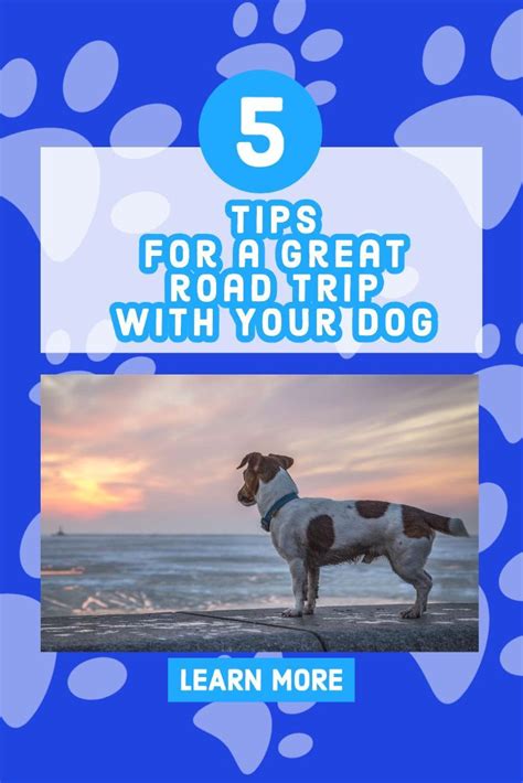 Dog Road Trip Safety Tips Dog Road Trip Safety Tips
