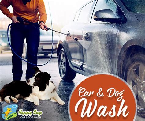 Dog Wash Near Car Wash It Is Interesting Microblog Portrait Gallery Dog Wash Near Car Wash It Is Interesting Microblog Portrait Gallery